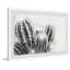 Cactus Spines - Single Picture Frame Print-1186579124