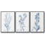 Ensemble de 3 pièces botaniques antiques en bleu I sur toile tendue-97759530-97759531