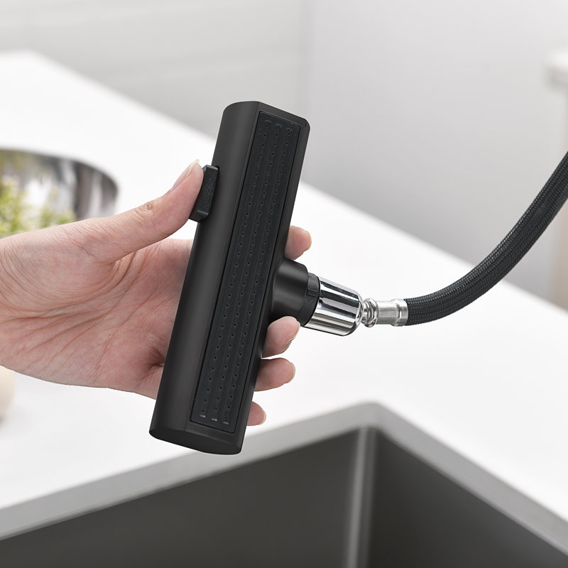 Single Handle Kitchen Faucet with Accessories, Black
