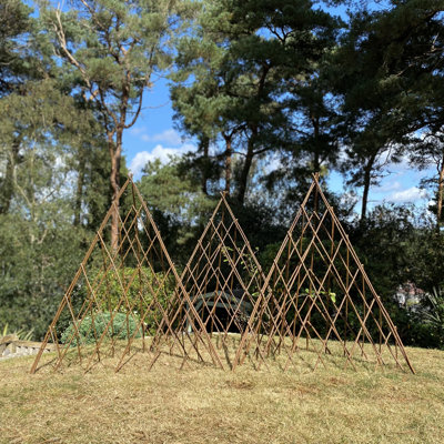 Ambernique Wood Expanding Trellis