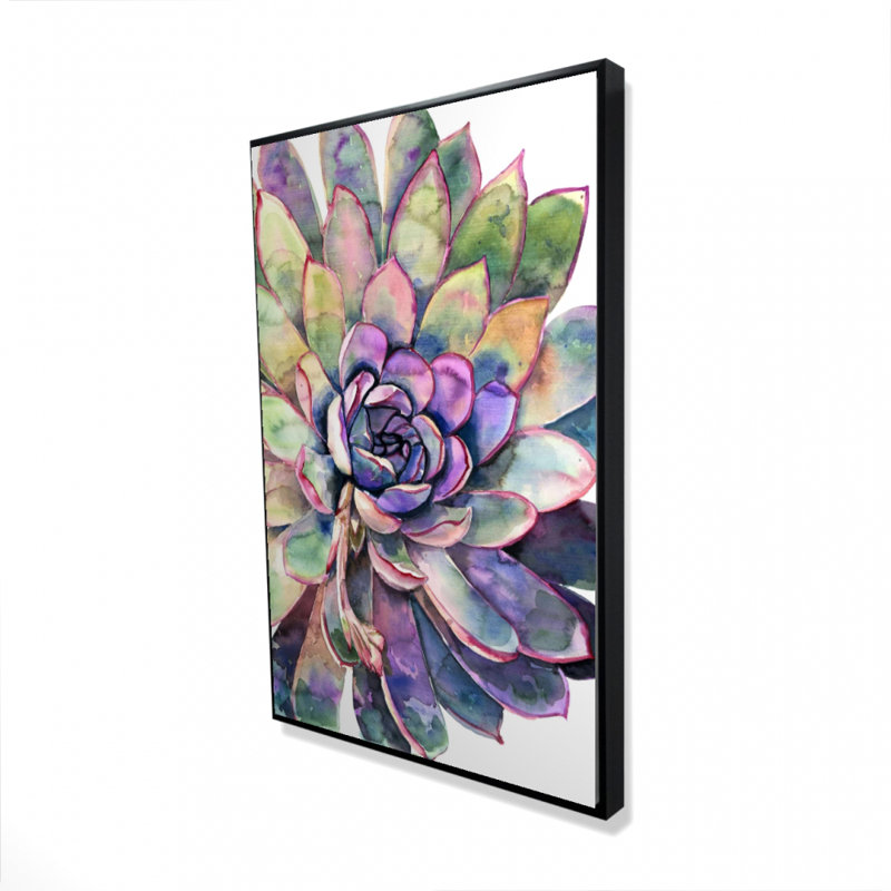 «Multicolored Succulent» sur toile