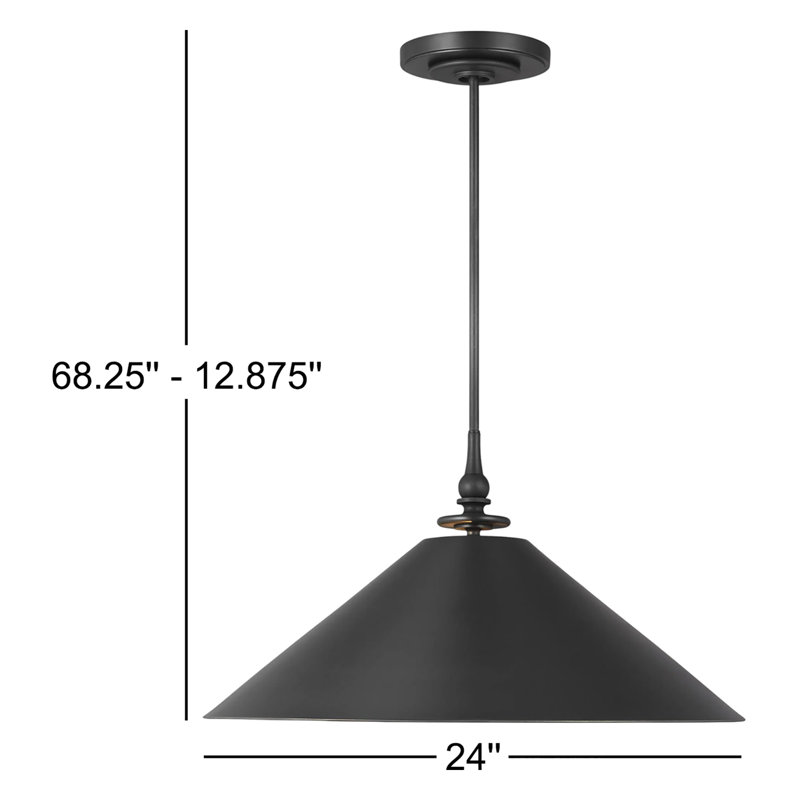 Luminaire suspendu à 1 lumière LeeRoy Shemena par Thomas O'Brien, Fer vieilli