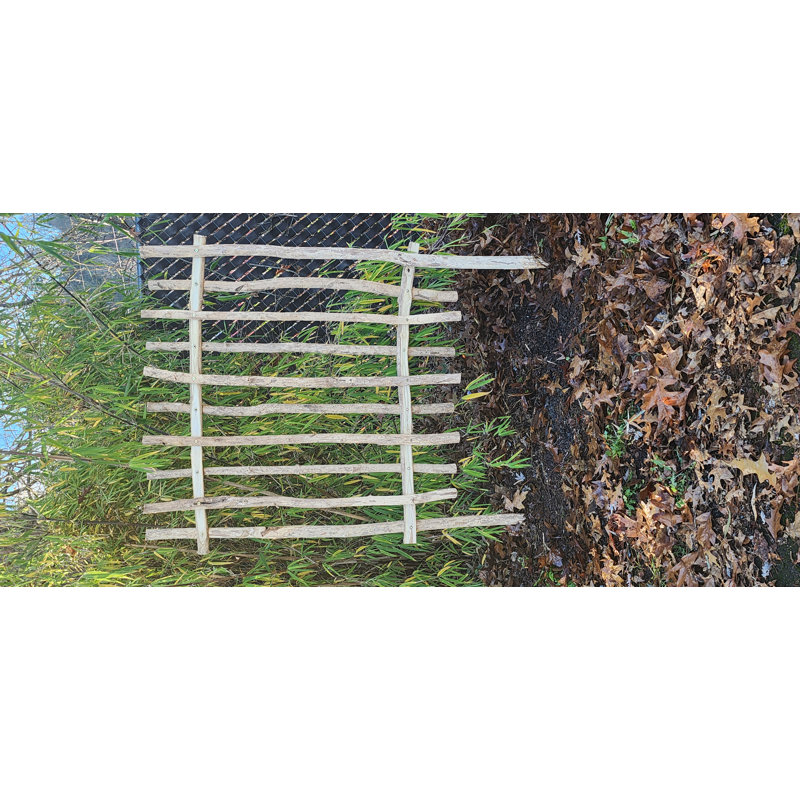 Bark On Teak Wood Garden Fence