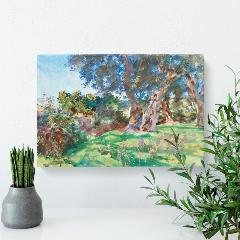 Olive Trees by John Singer Sargent - Wrapped Canvas Painting, 35cm H x 50cm W x 3cm D