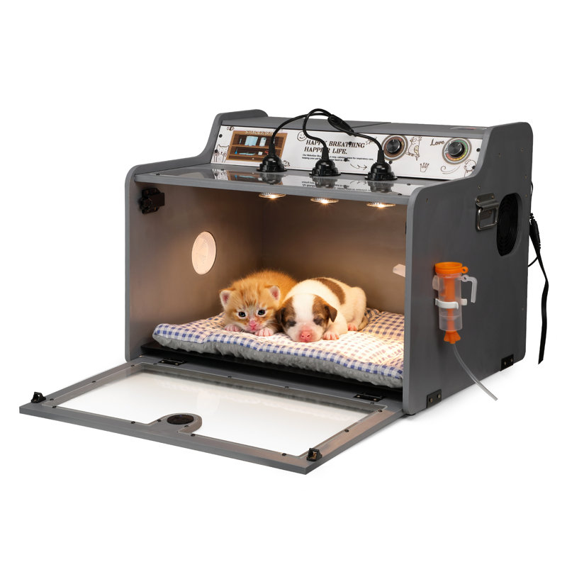 Incubateur pour chiots avec couveuse chauffante pour poussins et chatons - Incubateur de nouveau-né