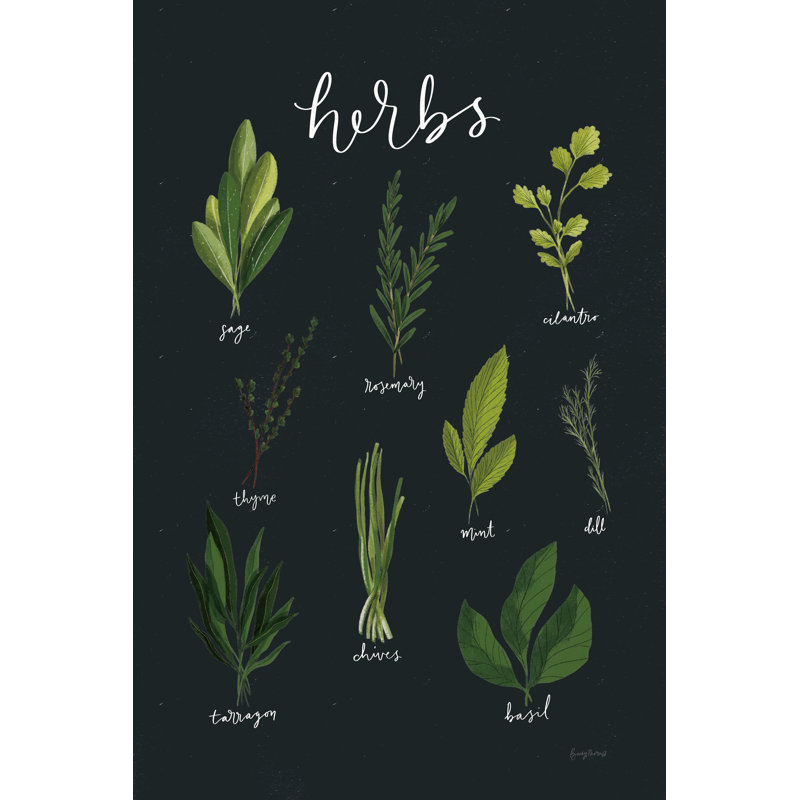 Herbs I Black by Becky Thorns - Painting, 30 cm H x 20 cm W, Wrapped Canvas