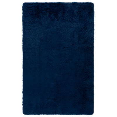 Zaslow Shag Performance Solid Color Rug