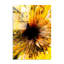 Superbe peinture murale en verre trempé 27,6 po x 39,4 po | 100% verre trempé, épaisseur: 0,16 pouce | Décoration élégante pour le salon ou le bureau, durable et facile à nettoyer, idée de cadeau parfaite