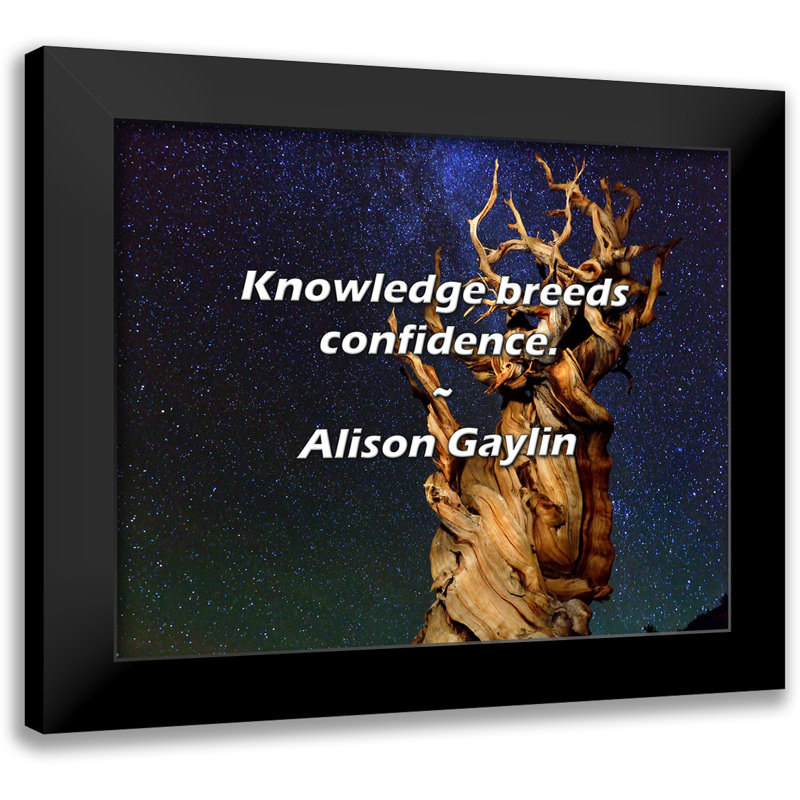 Alison Gaylin Citation: Le savoir engendre la confiance.