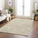 Chayden Area Rug