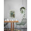 «Morning Birds III», reproduction sur toile-26600937