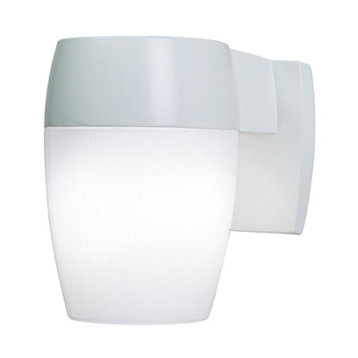 Outdoor Security Wall Pack