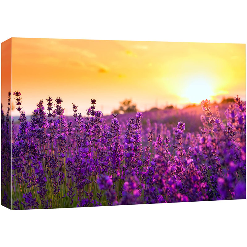 «Flower Blossom», «Lavender Flower Field At Sunset Floral Plants Photographie Modern Art Rustic» sur toile, H 16 po x l 24 po