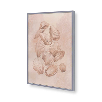 «Saltwater Shell Study I» par Grace Popp, reproduction d'art