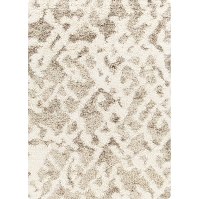 Jacodi Abstract Indoor Rug
