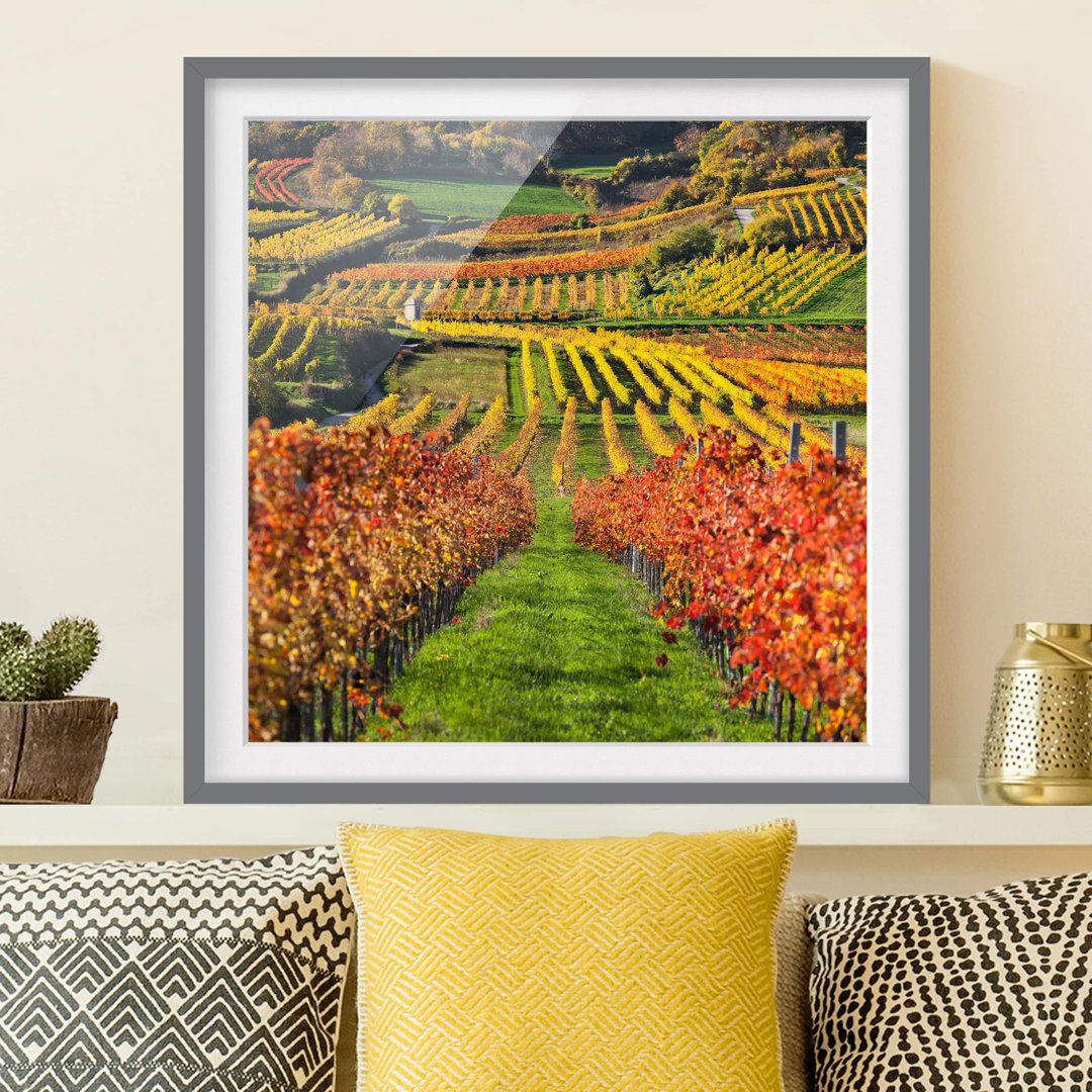 Gerahmtes Poster Vineyard View