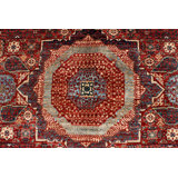 Wool Oriental Area Rug