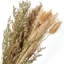 15Pcs Dried Flower Bunch Reed Rabbit Tail Grass Bouquet Home Decor