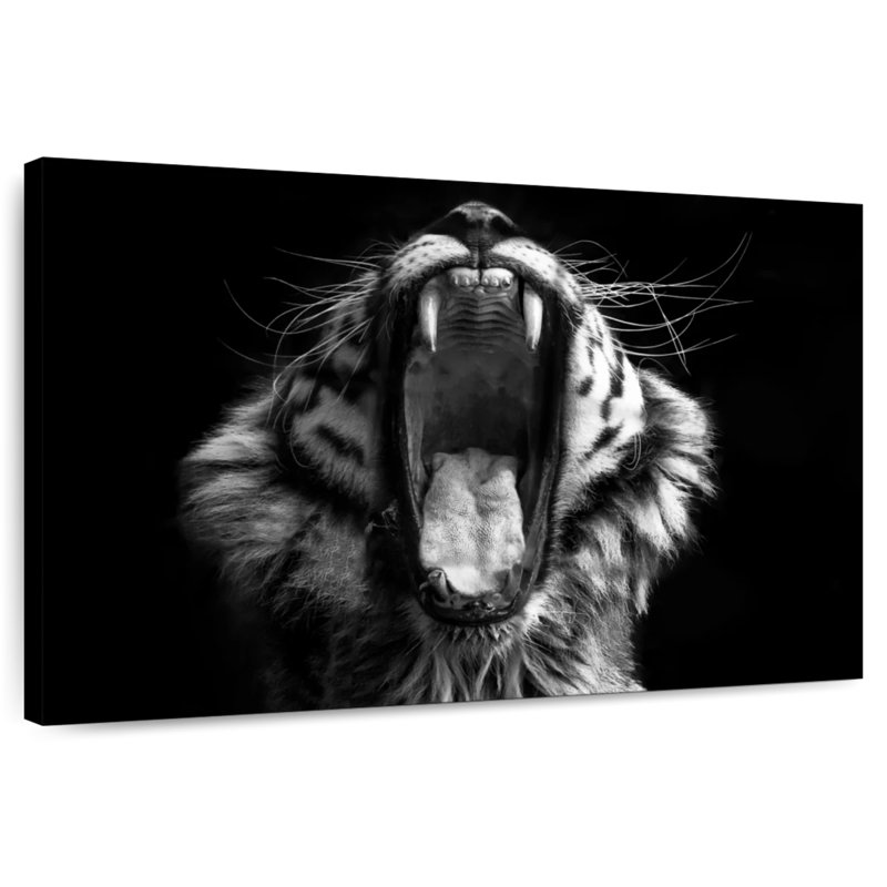 Yawning Tiger, 16" H x 24" W