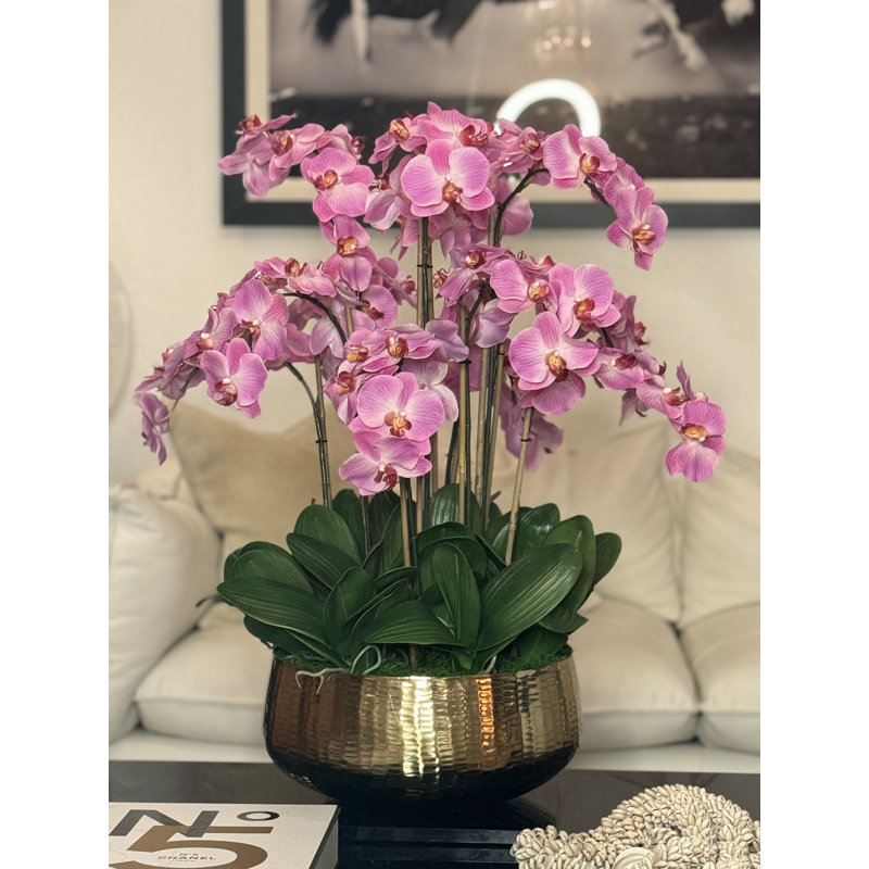 Roberi Orchid Arrangement in Planter, 38" H x 22" W x 22" D