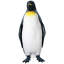 Statue de manchot royal antarctique