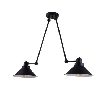 Brasher 2-Light Unique Chandelier