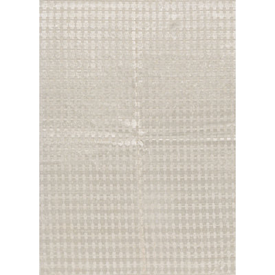 Area Rug in Beige