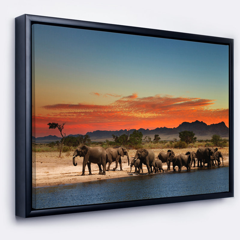 «Herd of Elephants Watering in Savanna», reproduction de photo sur toile tendue encadrée, H 30 po x l 40 po x P 1,5 po