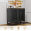 Armoire avec porte rayée à lattes