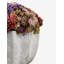 Pot à fleurs en ciment Timeless Living Sedum Combo