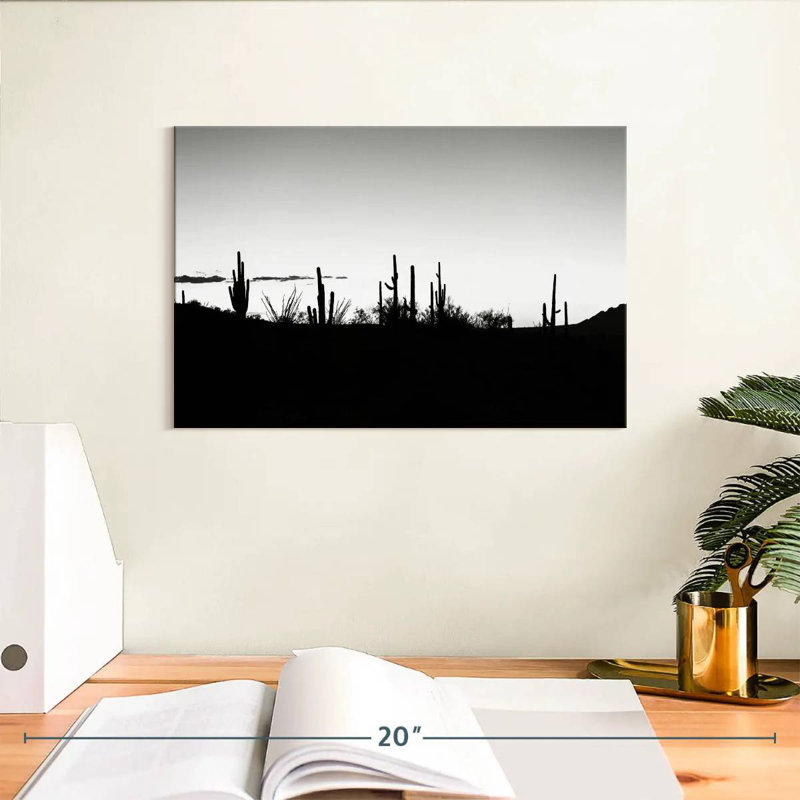 Alvord, Arizona noir - coucher de soleil, cactus, horizon