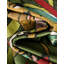 Tapis Canopes Taresha-1708619338