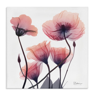 Élégante toile moderne «Poppy Buds», conception par Albert Koetsier