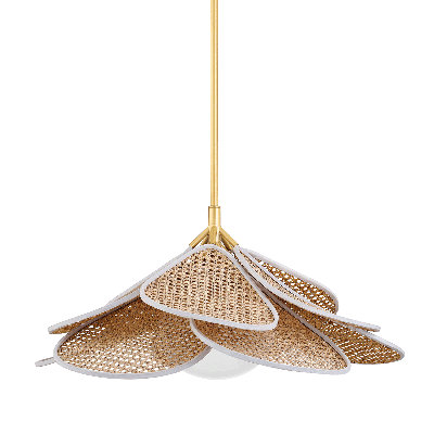 Luminaire suspendu 1 lumière FLORINE