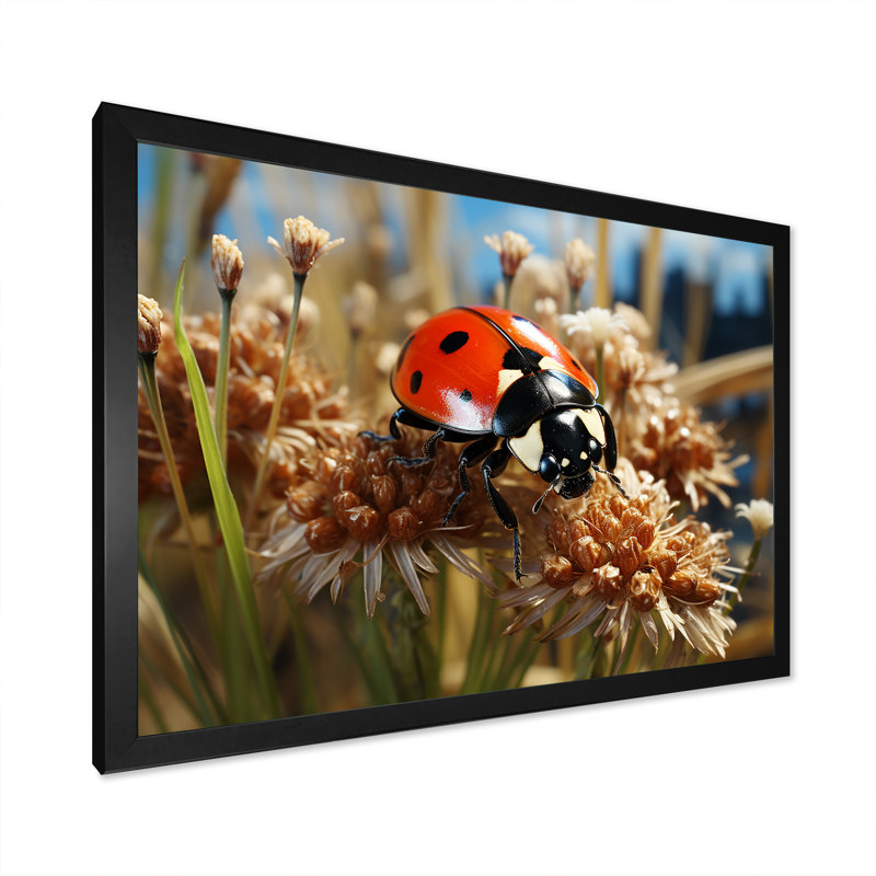 Coccinelle rouge aventureuse I - art de coccinelle, Cadre d'angle fermé noir, H 24 po x l 32 po x P 1 po