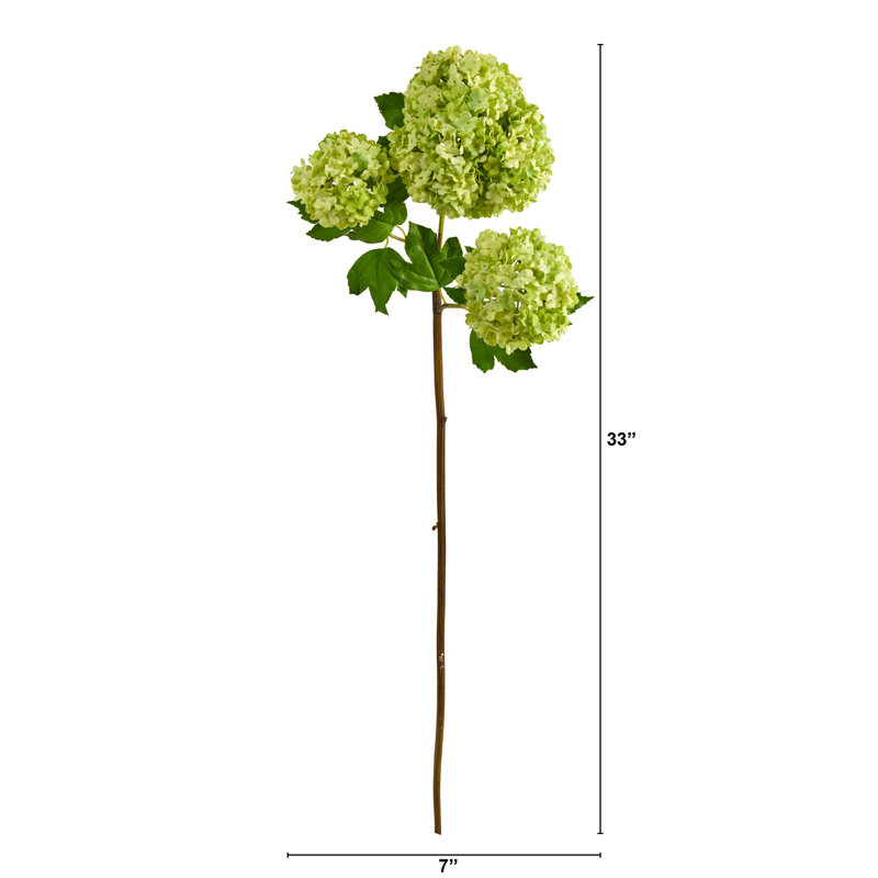 Tige d'hortensia boule de neige, Vert
