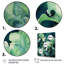 Pétale d'iris vert sur toile-1764653200-1764653202