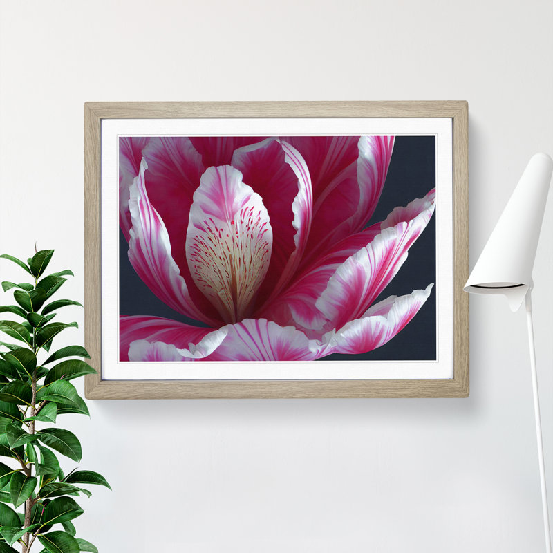 Enlightening Flower - Single Picture Frame Print, 25cm H x 34cm W x 2cm D, Oak Framed