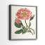 Impression florale rose de qualité supérieure - prête à accrocher - aucun clou requis - aucun clou requis-1933892736-1933892760
