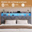 Upholstered Velvet Lift Up Storage Bed-600823488-600823495