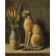 Pharaoh's Feline