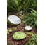 Tropical Fruits Earthenware Dessert Bowl