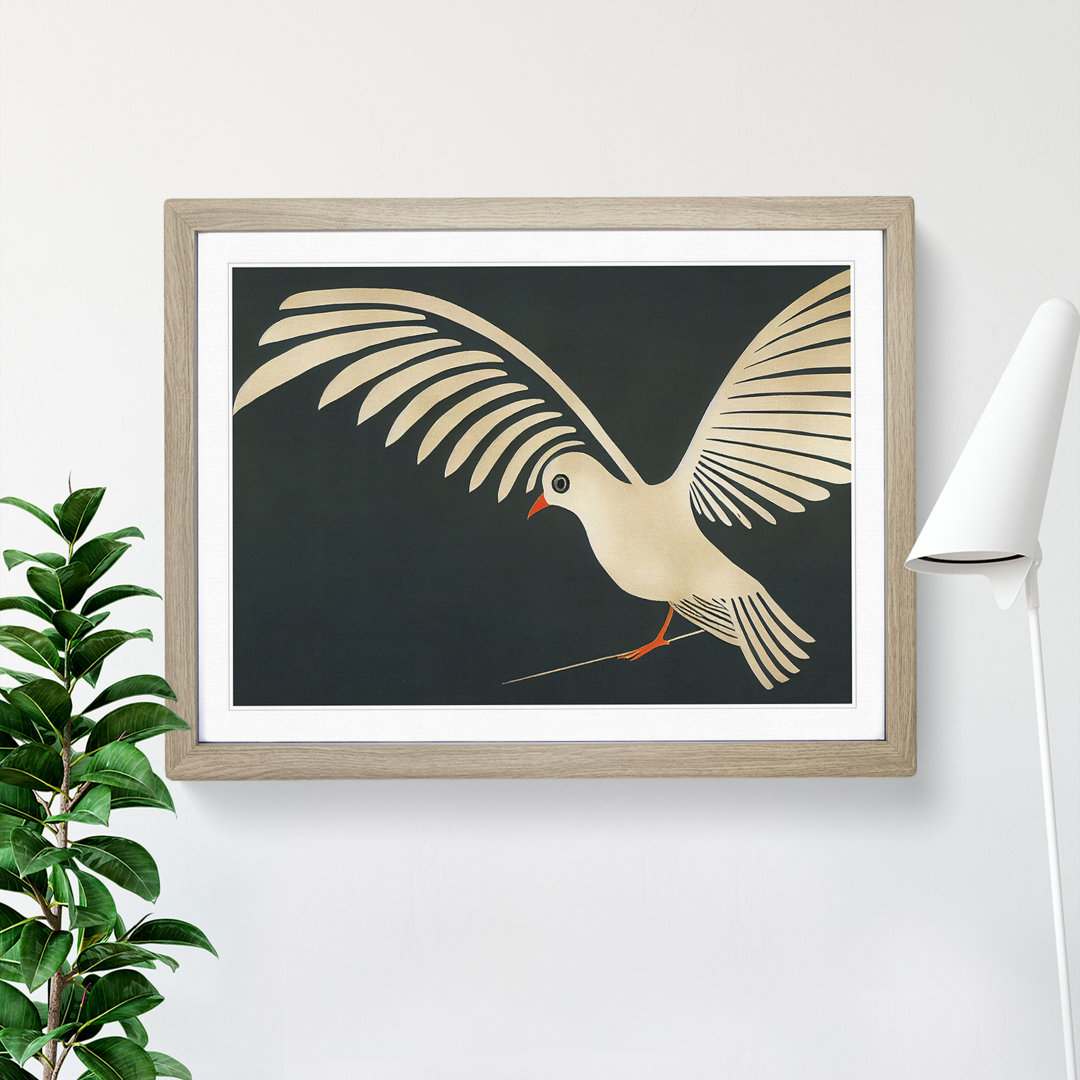 Incredible Dove Bird Abstract - Single Picture Frame Print