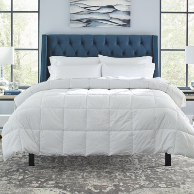 Pointehaven All Season Polyester Down Alternative Comforter In White