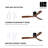 Airys 52'' Ceiling Fan with LED Lights-1743346340-1743346341