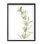 Earthtone Herbs III - reproduction d'art sur toile-288115826-288115550