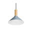 Emblem 1 - Light Pendant-74747934-94655711-107231802