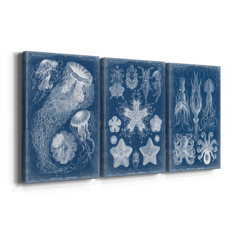 Marine Blueprint II - Toile tendue avec châssis sur mesure - 3 pièces, H 12 po x l 24 po