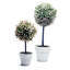 Faux Tree in Ceramic Pot