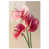 High-Gloss Acrylic Print is unavailable